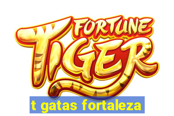 t gatas fortaleza